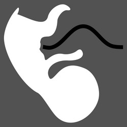 Similar image 9709592