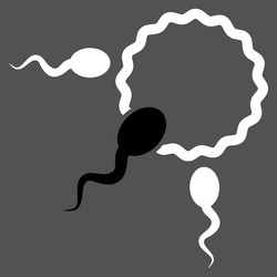 Similar image 9709764