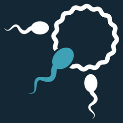 Similar image 9710650