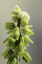 Similar image 9710752