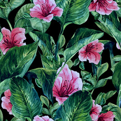 Similar image 9711397