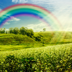 Similar image 9711511