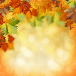 Similar image 9711517