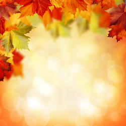 Similar image 9711528