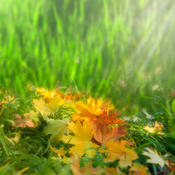 Similar image 9711531