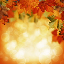 Similar image 9711532