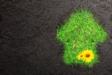 Similar image 9711556