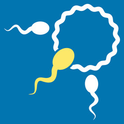 Similar image 9712116