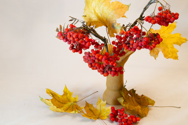 Similar image 9713049