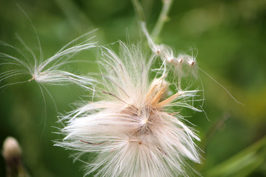 Similar image 9713056