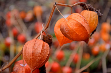 Similar image 9713057