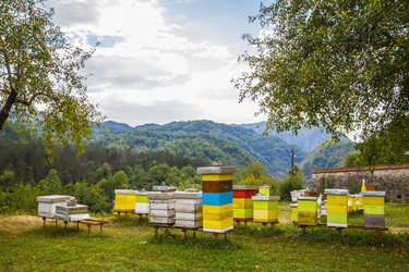 Similar image 9713059