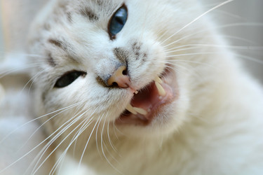 Similar image 9713073