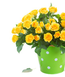 Similar image 9713135