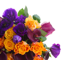 Similar image 9713140