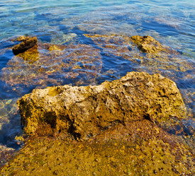 Similar image 9714947