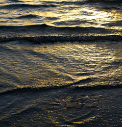 Similar image 9714993