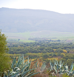 Similar image 9714995