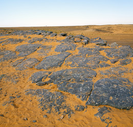 Similar image 9715028