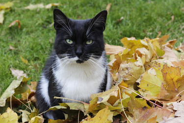 Similar image 9715041