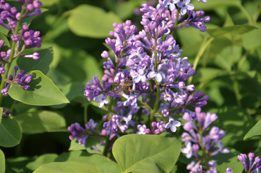 Similar image 9715047