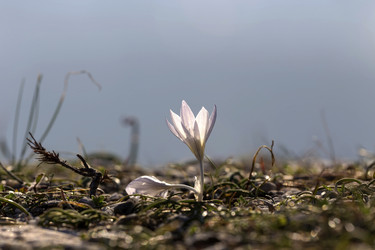 Similar image 9715059