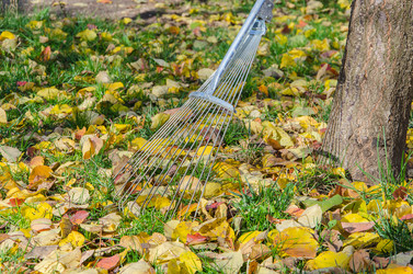 Similar image 9715098