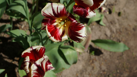 Similar image 9715103