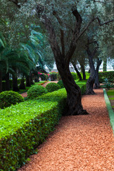 Similar image 9715111