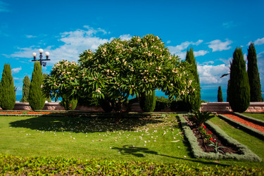 Similar image 9715113