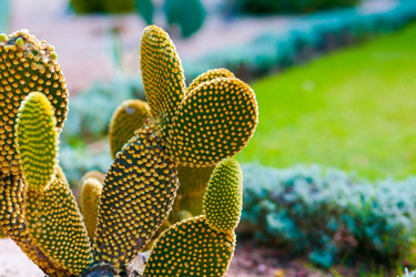 Similar image 9715114