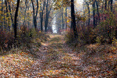 Similar image 9715178