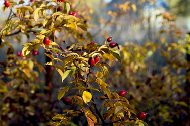 Similar image 9715179