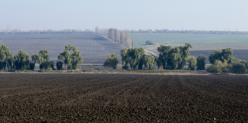 Similar image 9715181
