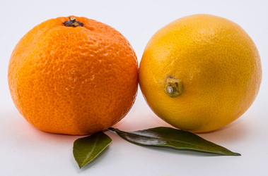 Similar image 9715248