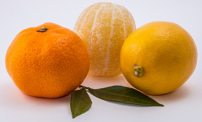 Similar image 9715249