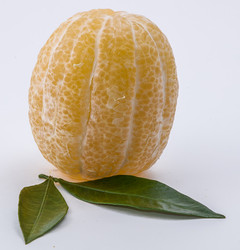 Similar image 9715250