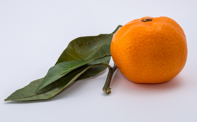 Similar image 9715258