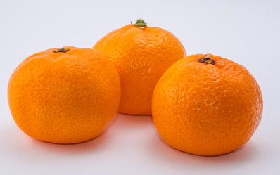 Similar image 9715259