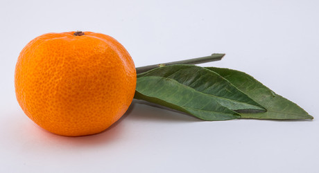 Similar image 9715260