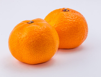 Similar image 9715262