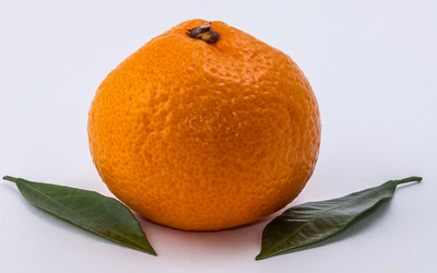 Similar image 9715266