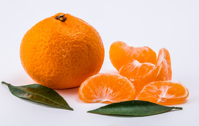 Similar image 9715272