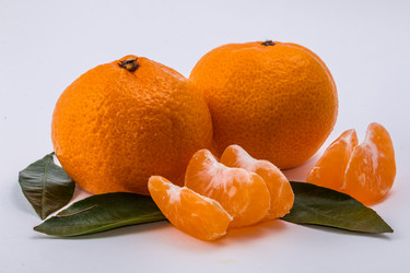 Similar image 9715273