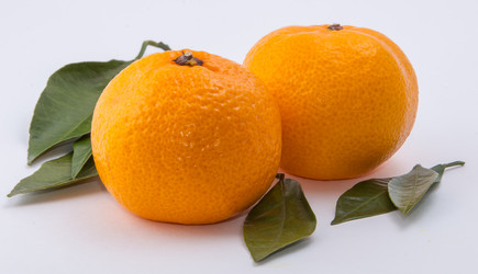 Similar image 9715274