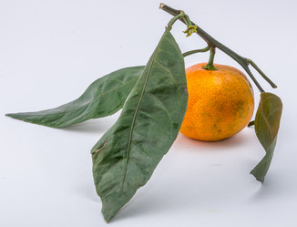 Similar image 9715276