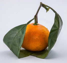 Similar image 9715277