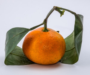 Similar image 9715278