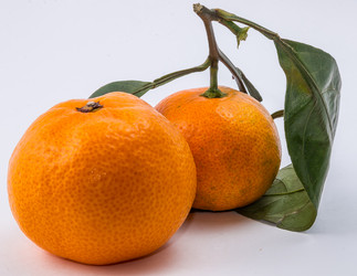 Similar image 9715279