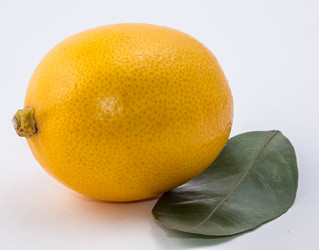 Similar image 9715280